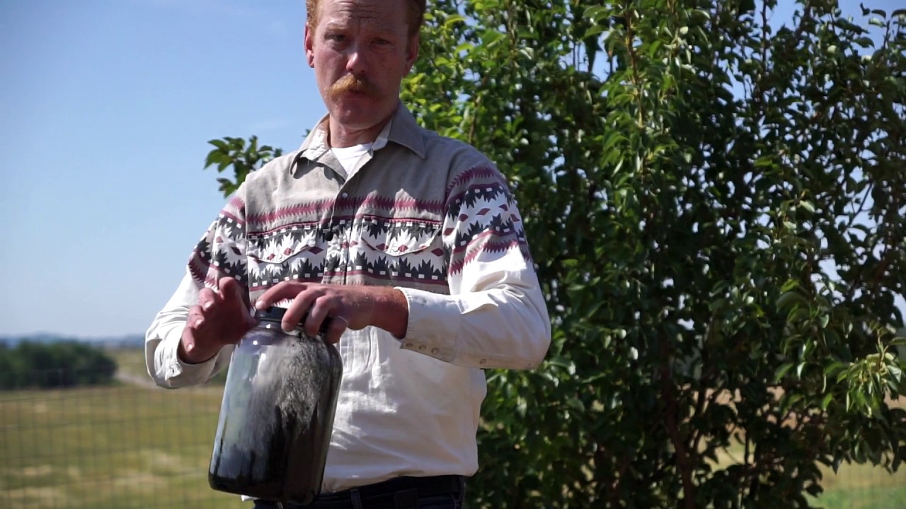 Activated Charcoal for Soil Detox