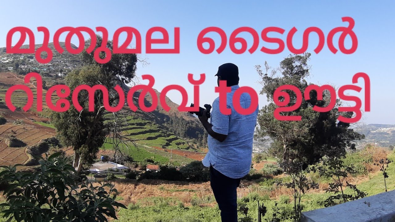 MUDHUMALI TO OOTY