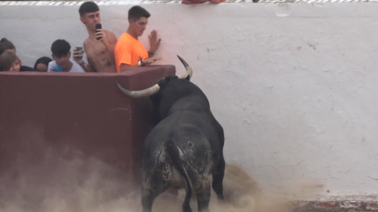 ESTE CHICO ESTA EN APUROS! TRESJUNCOS (CUENCA) AGOSTO 2023