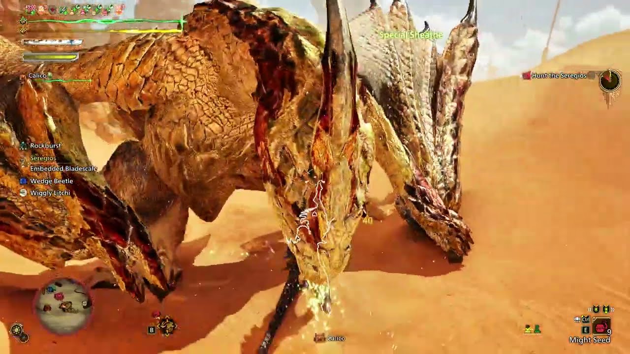 Seregios Fight LS - MH Wilds