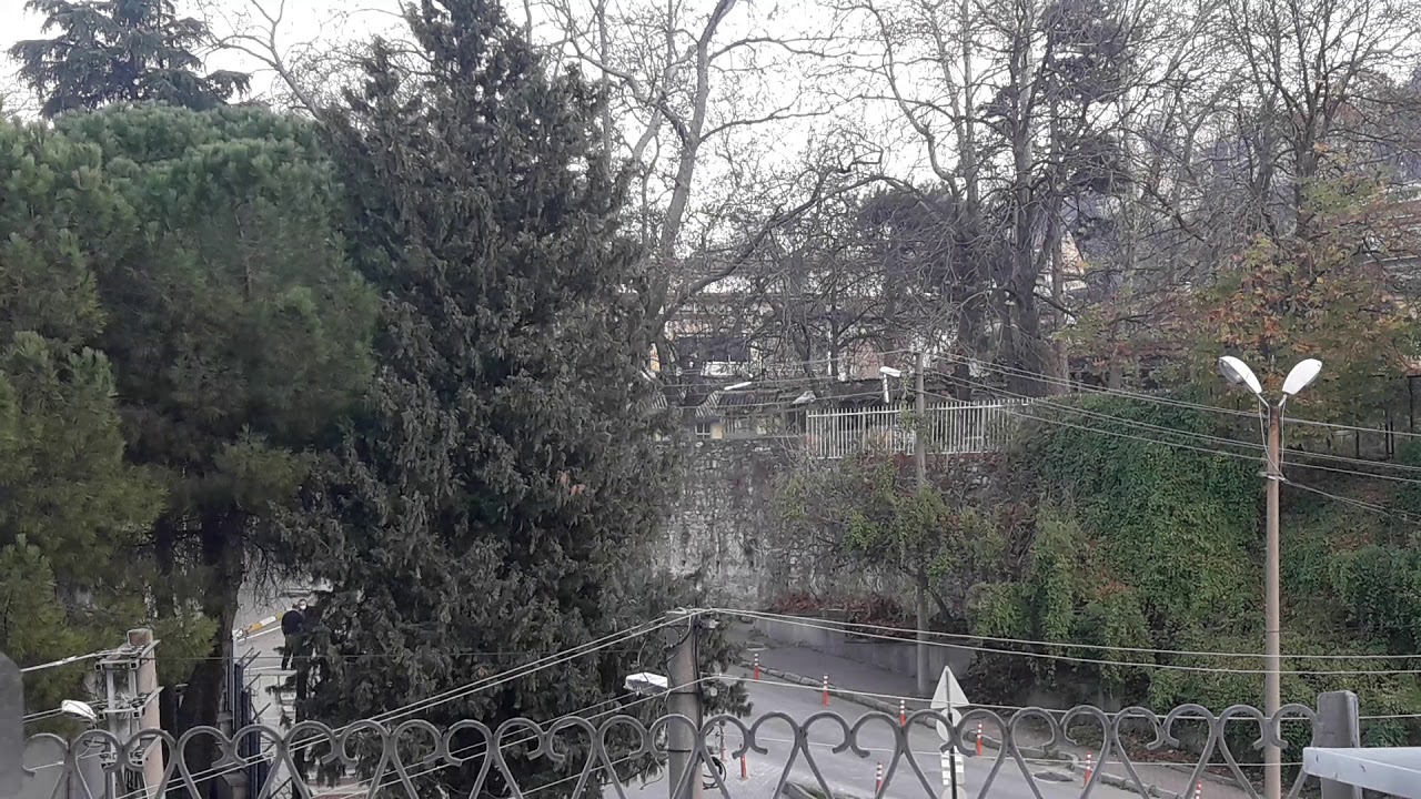 BELGESEL SESLENDİRME ÖRNEĞİ | #seslendirme #dublaj #ses #diksiyon