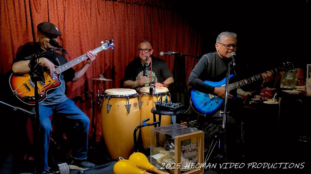 "Lady I Love (MALO)" cover by, THE MIO FLORES SALSAZZ TRIO