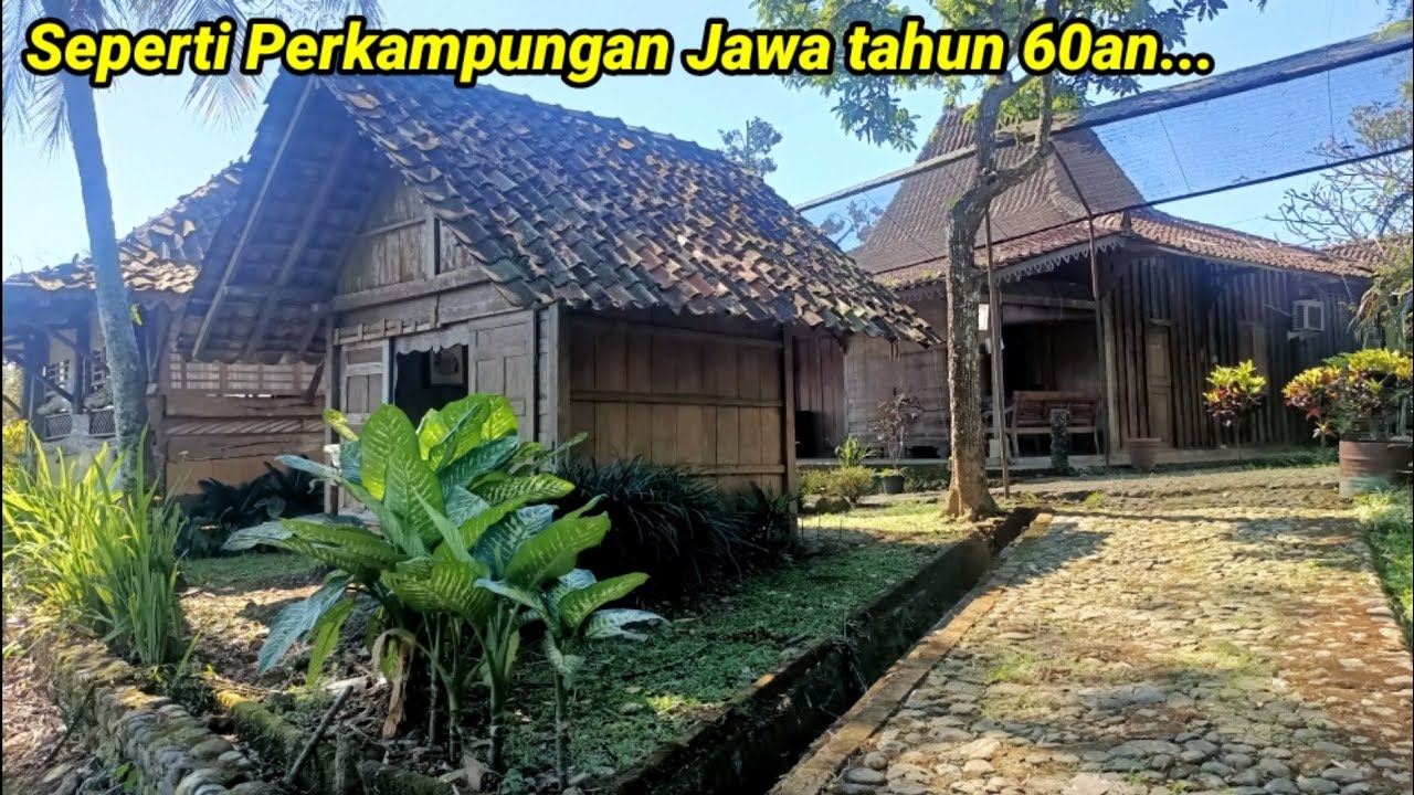 Kampoeng Djowo Sekatul ! Wisata Tradisional Nuansa Pedesaan Jawa kuno Tempo dulu