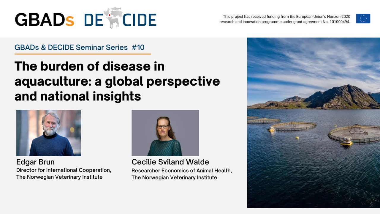 How do we manage disease risks in a rapidly growing aquaculture sector? Webinar