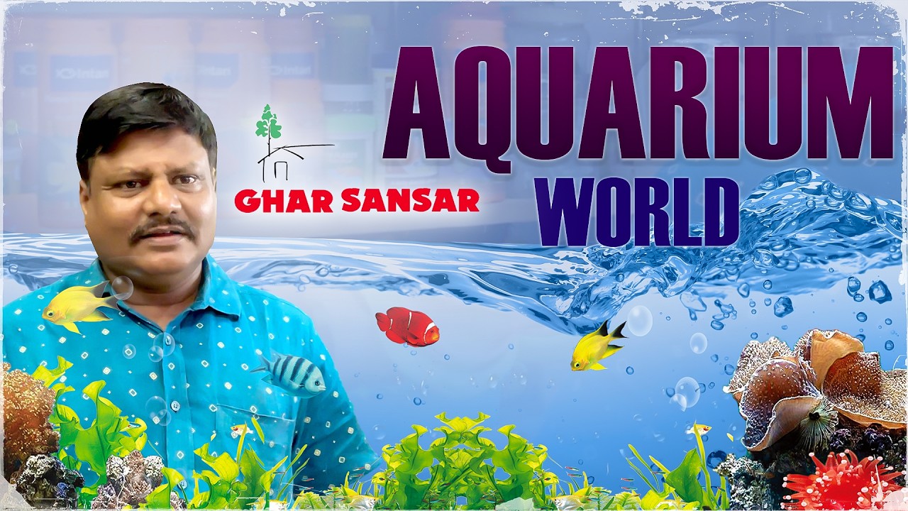 Complete Aquarium Collection in Vijayawada | Gharsansar Aquarium  | fishes 8121135980
