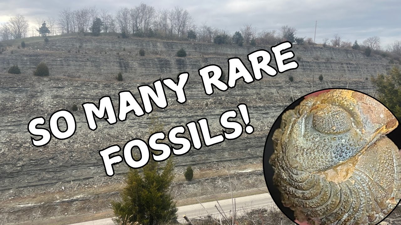 Rare fossils found in Kentucky (Trilobites, “Starfish”, Brachiopods, and more!)