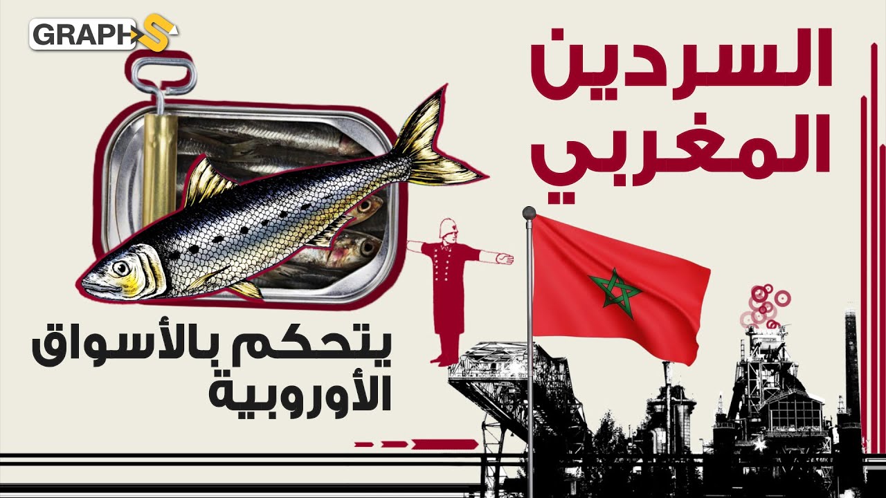 يصدر إلى 70 دولة وتتنافس الدول على استيراده.. السردين المغربي ماسرّ جودته؟