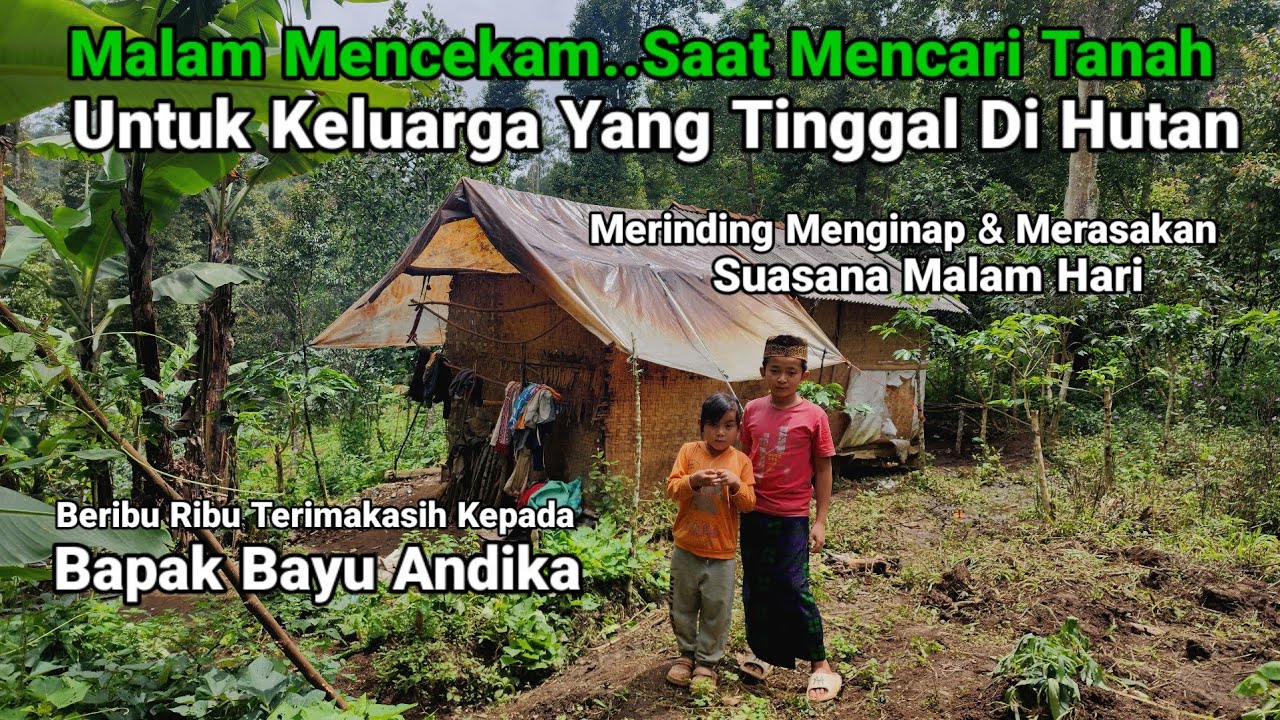Nyata Ke Ajaiban Anak Piatu Yang Tinggal Di Hutan Rezeki Mengalir Deras