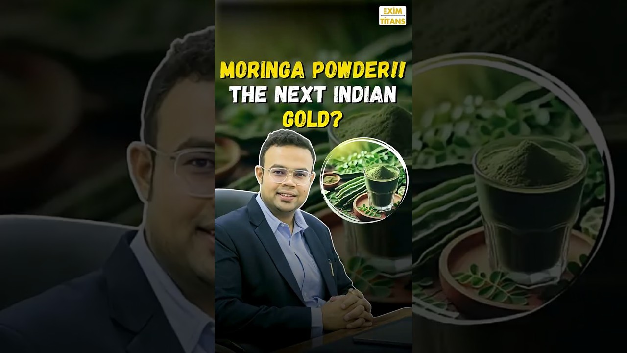 Moringa Powder exports Giving huge profit 📈.