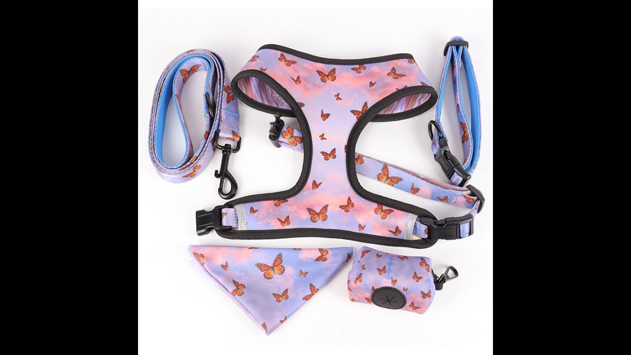 Dog Accessories Sublimation Custom Dog Chest Harness Set Collar and Leash Bandana Poop Bag Holder