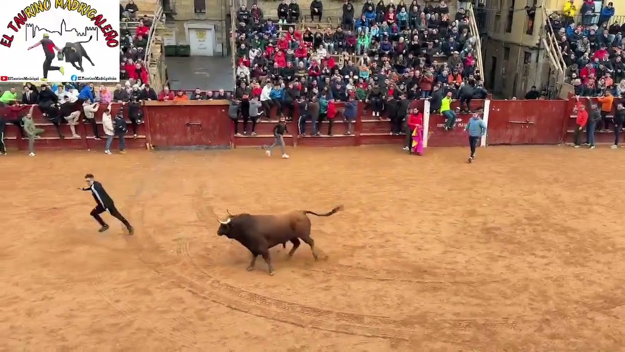 Toro del aguardiente, Ciudad Rodrigo, 17/2/26