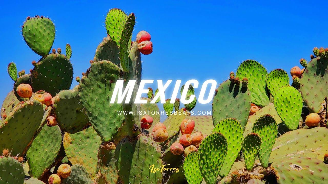 Bad Bunny x YG Latino Type Beat 2020 - 