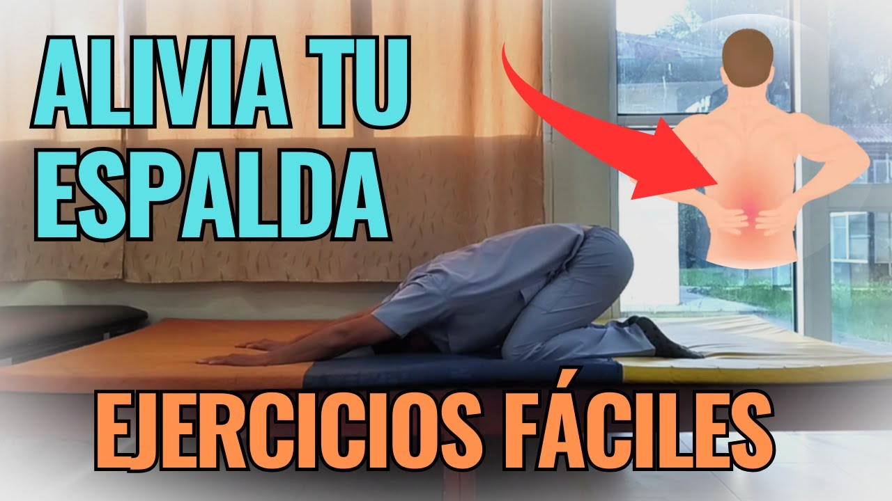 ✅ Ejercicios para la lumbalgia | Rutina fácil para aliviar el dolor lumbar