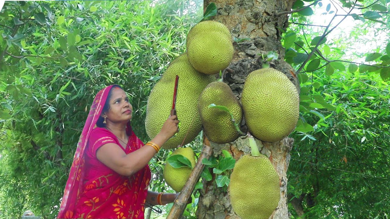 कटहल का अचार इस तरीके से बनाऐगें तो सालों साल खराब नहीं होगा || Kathal ka Achar || Jackfruit Pickle