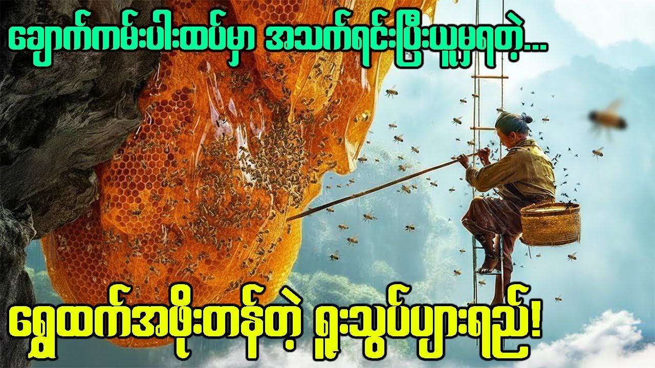 ဒီလူတွေဟာ ဟိမ၀န္တာ ရူးသွပ်ပျားရည်ကို အသက်နဲ့ရင်းပြီး ဘာလိုရှာဖွေကြရတာလဲ?