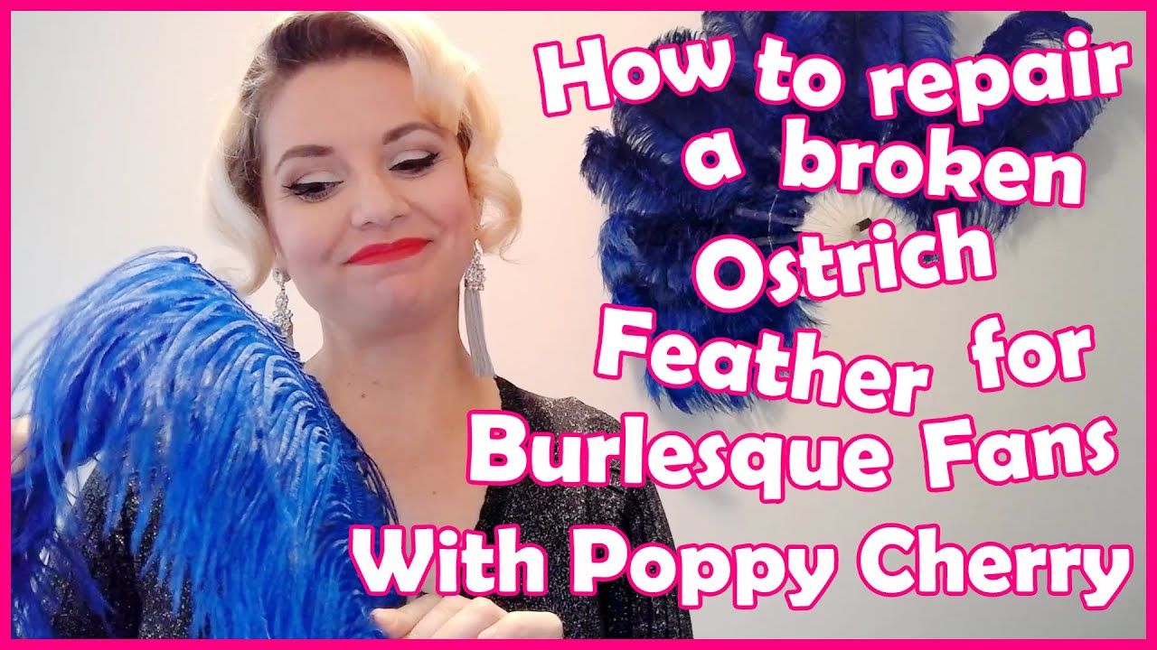 The Humble Sequin: How to repair a broken Ostrich Feather for Burlesque Fans with Poppy Cherry