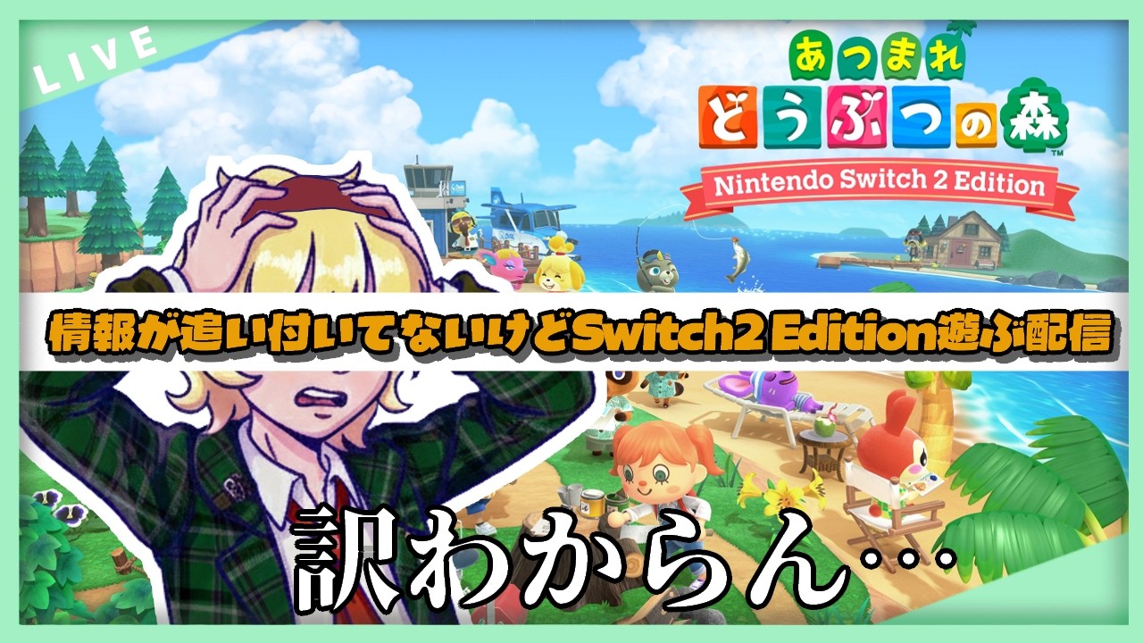 【あつ森】情報が多いと何が何だかわからんなるねん。【あつまれどうぶつの森】
