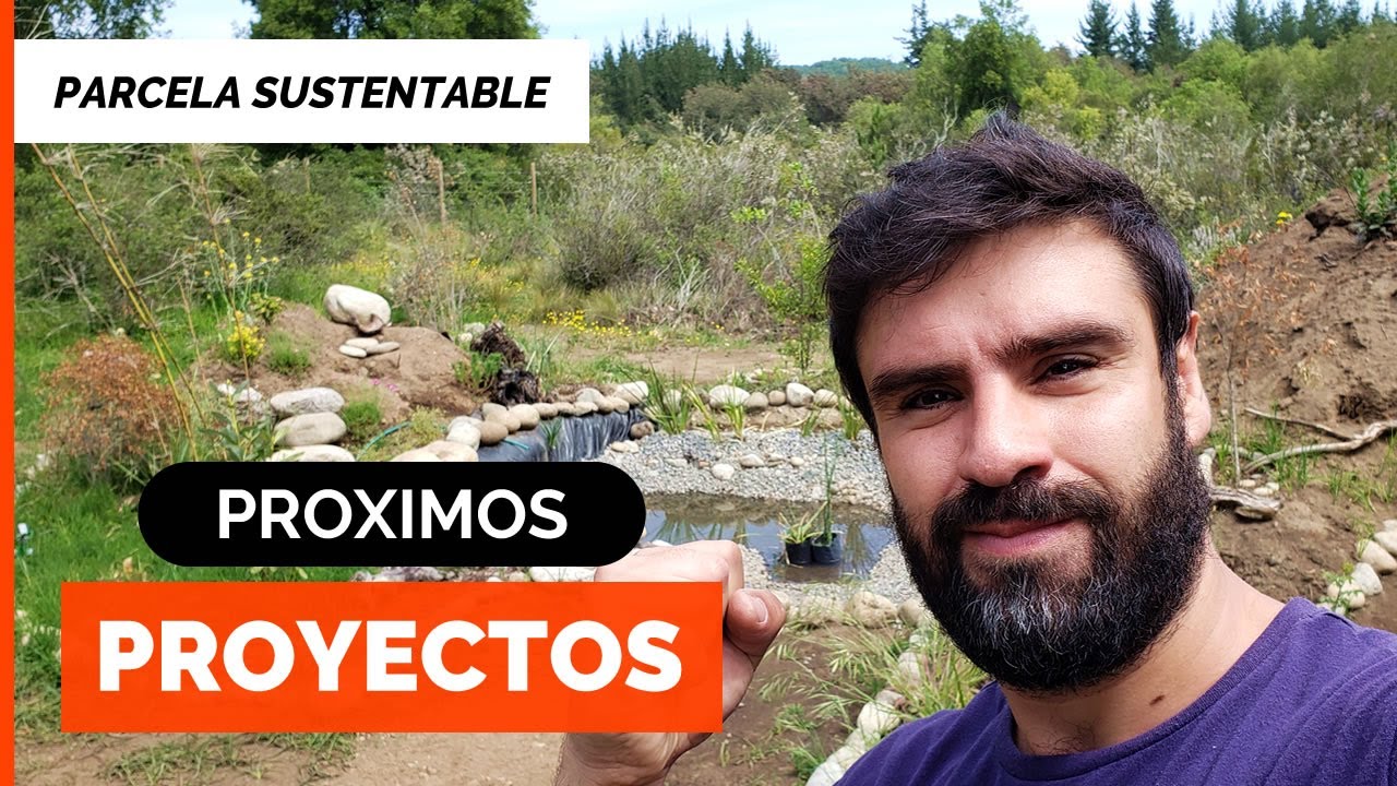 TOUR por la PARCELA SUSTENTABLE y PR&Oacute;XIMOS PROYECTOS 🌄🏡 Fog&oacute;n, Walipini, Bosque de Alimentos, etc
