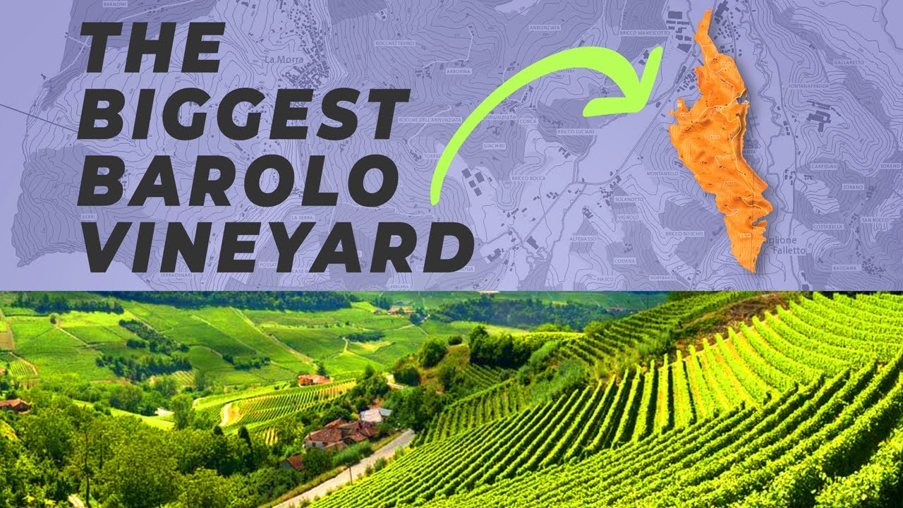 Barolo Cru | Bussia