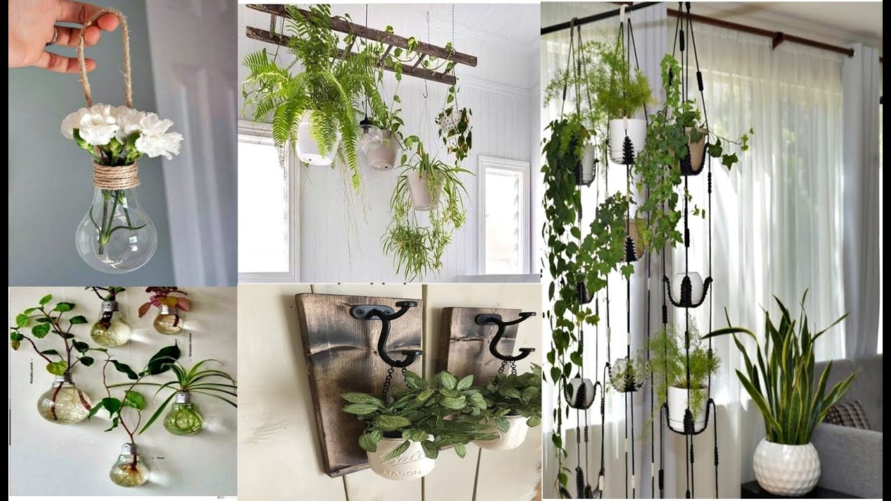 Inspire se com estas 18 ideias de plantas na decoração! Ideias de suporte para decorar!