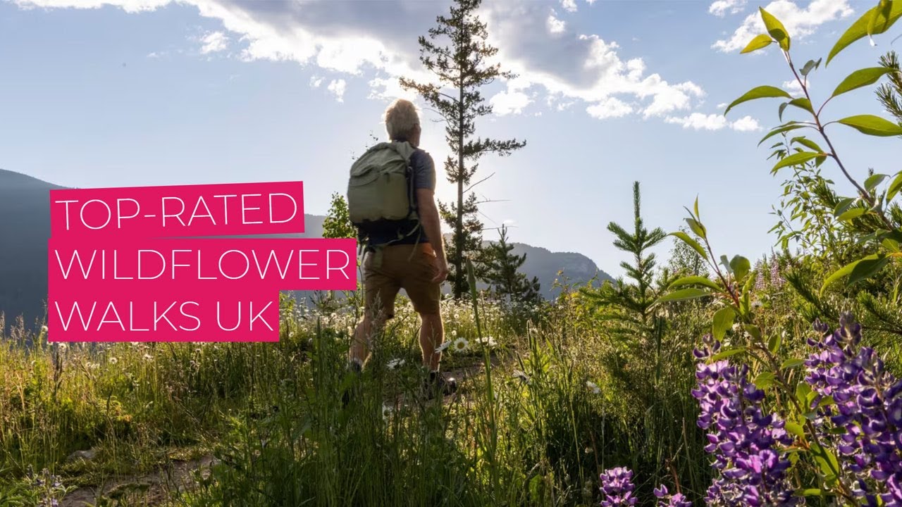 The UK&rsquo;s top lesser-known wildflower walks - Flying Flowers