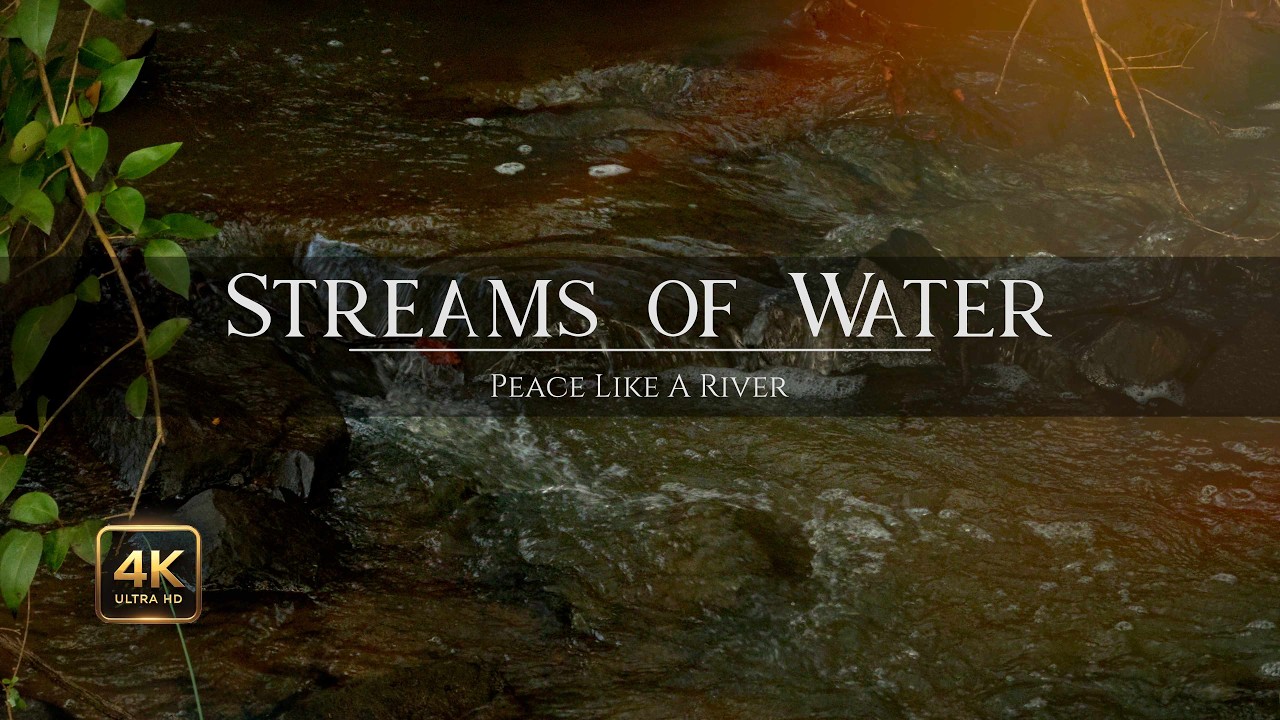 Streams of Water | #peacefulmusic