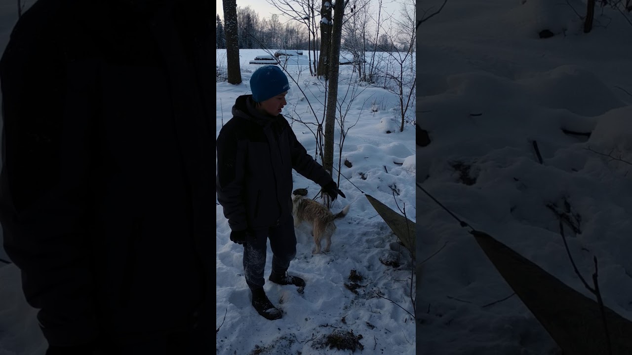 Kuidas ehitada metsas telkmantlist varjualust.