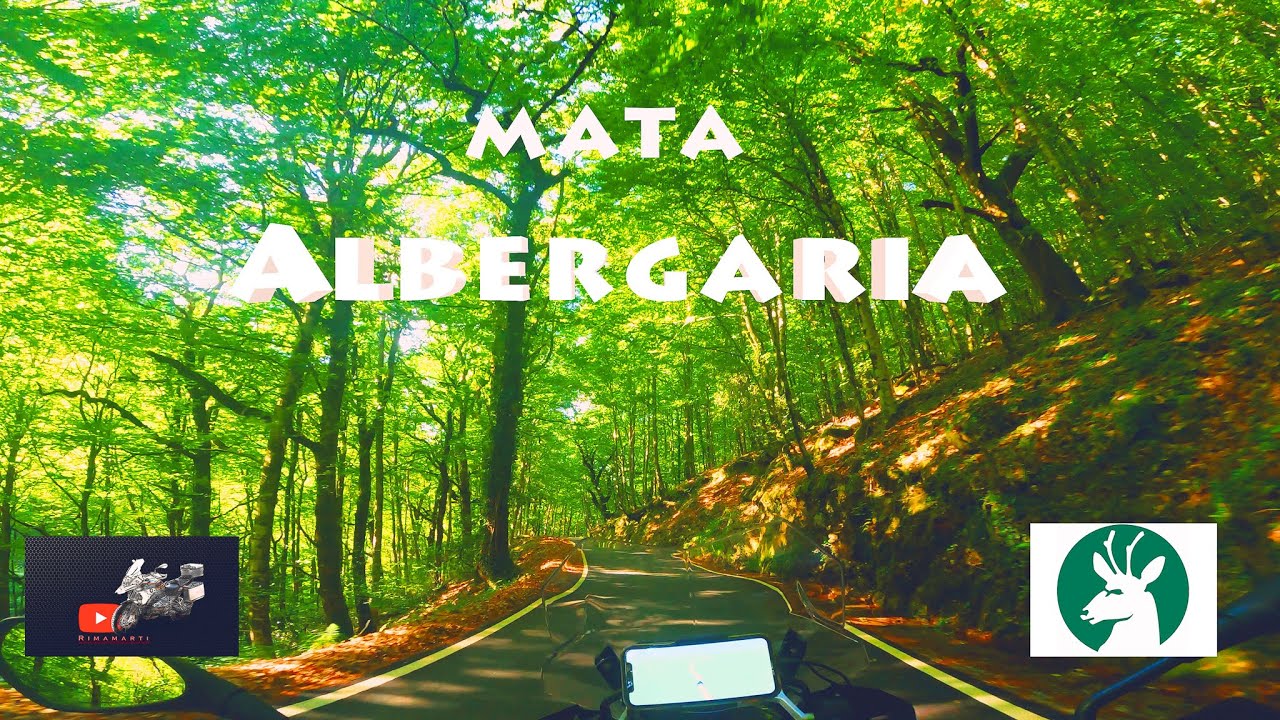 Gerês Mata da Albergaria | R1250GS