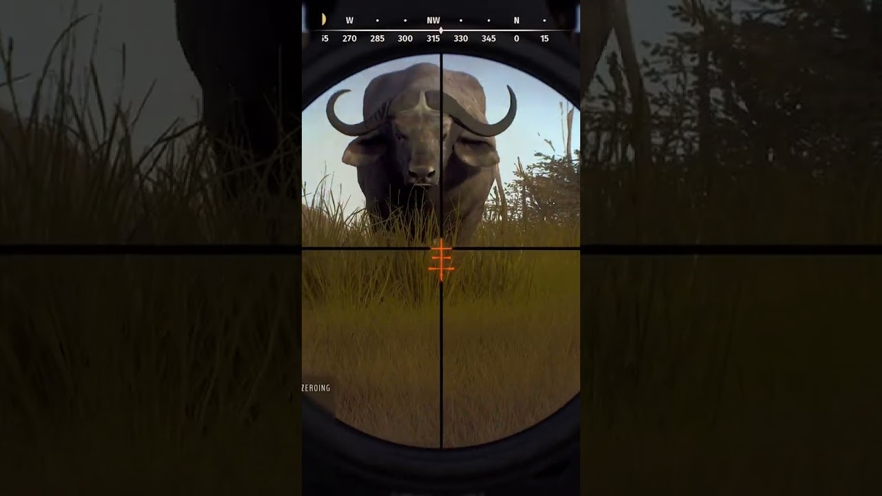 ME SALVEI NO ULTIMO SEGUNDO - WAY OF THE HUNTER GAMEPLAY