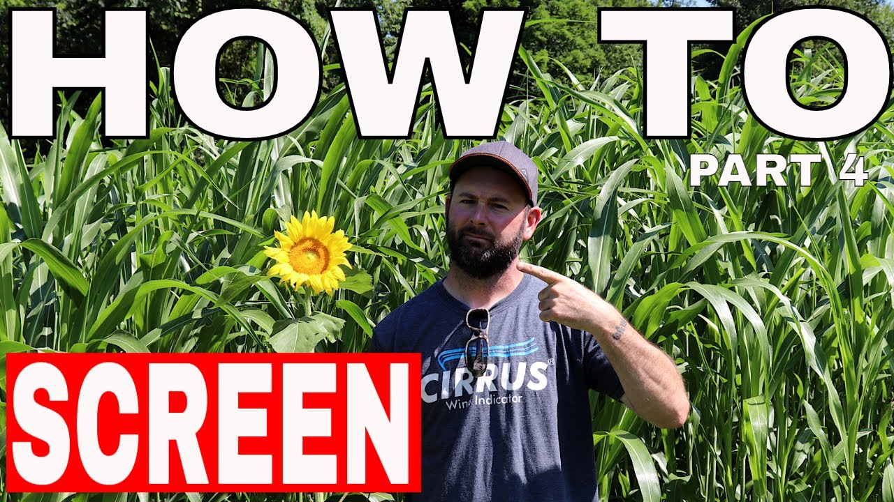 How To SCREEN Food Plots! Tips & Ideas