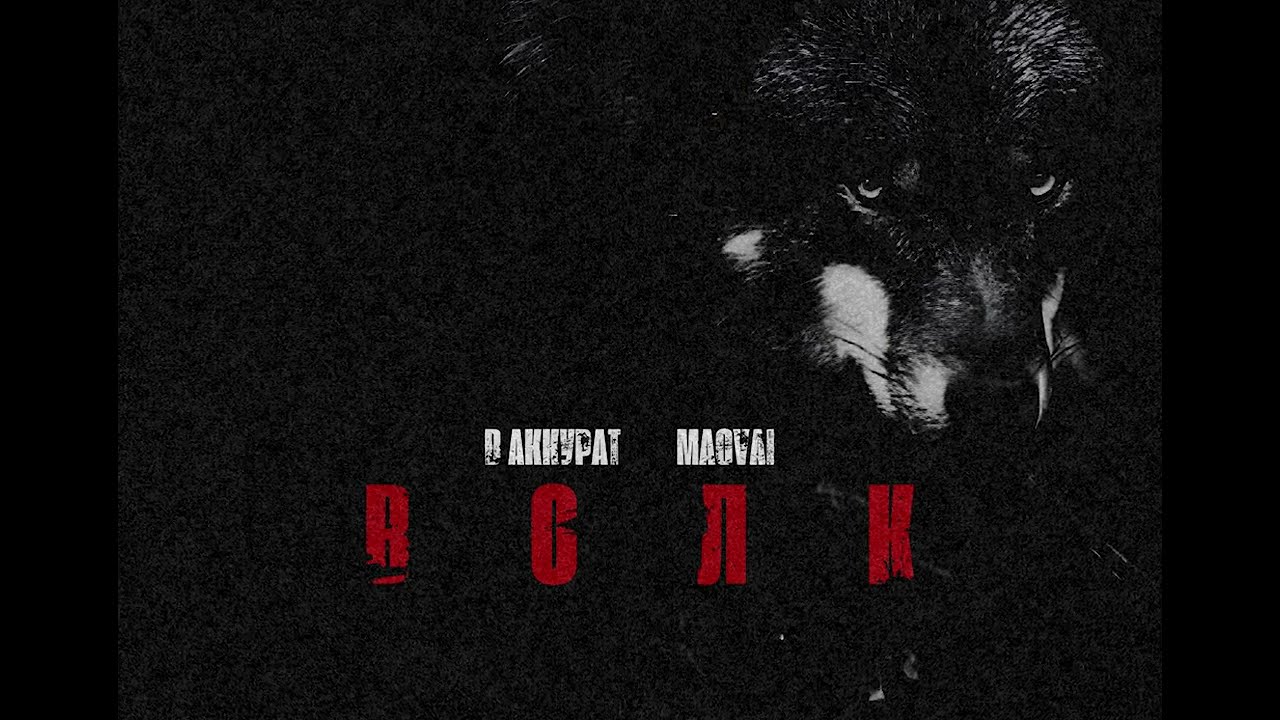 В АККУРАТ, Magvai - Волк