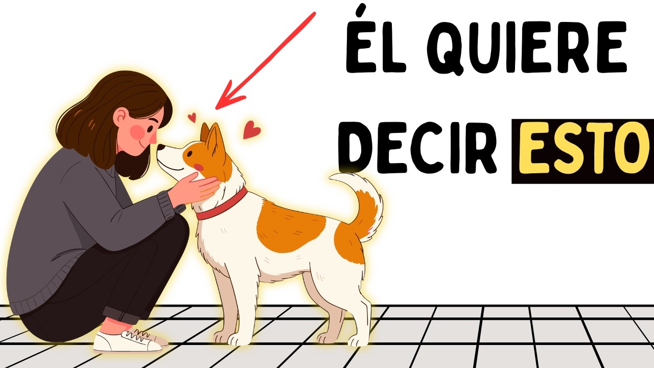 ¿Tu PERRO se ALEGRA Cuando llegas a Casa? La Razón te Sorprenderá