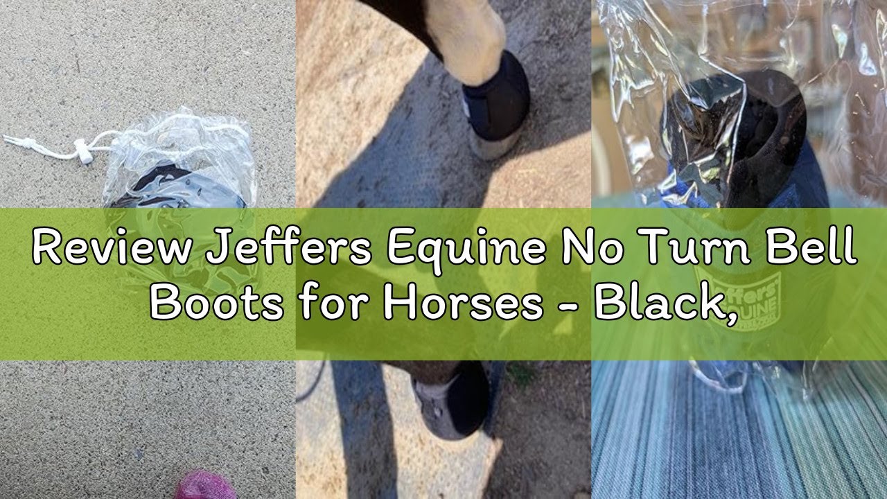 Review Jeffers Equine No Turn Bell Boots for Horses - Black, Medium | Shock Absorbing Hoof Protectio