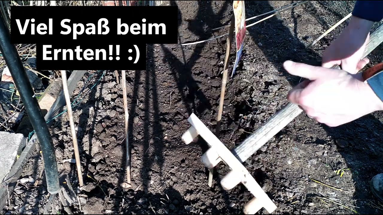 Steckzwiebeln einbringen/s&auml;en. Bau einer Steckhilfe #selbstversorger #garten #holz #viralvideo
