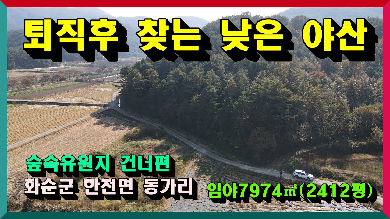 숲속유원지 앞 임야 /퇴직후 찾는 낮은 야산/ 화순군 한천면 동가리 임야 7974제곱 (2412평) 매매가  4천400만원