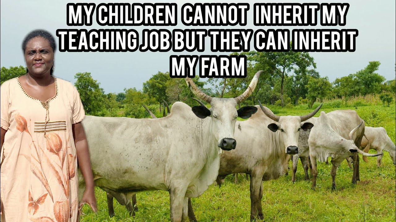 HOW A GHANAIAN FEMALE TEACHER STARTED HER CATTLE FARM IN TAMALE/ LIVESTOCK FARMING IN AFRICA