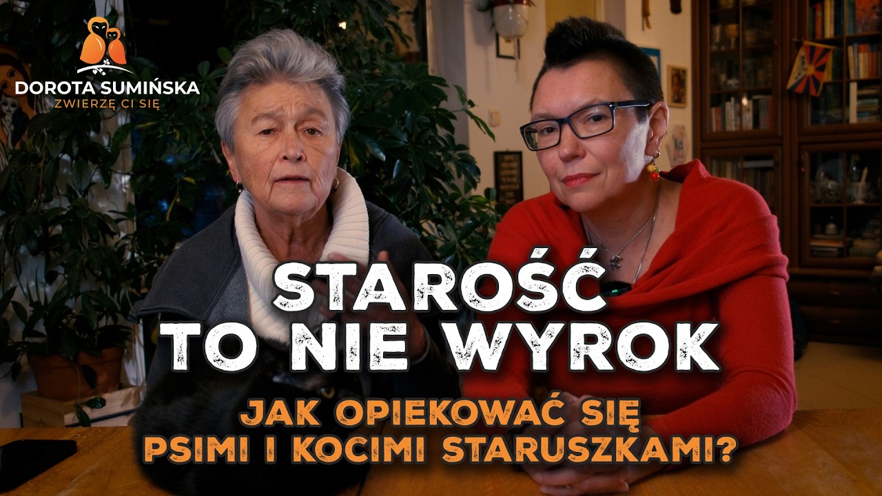 Starość to nie wyrok. Jak opiekować się psimi i kocimi staruszkami? [PORADNIK #47]