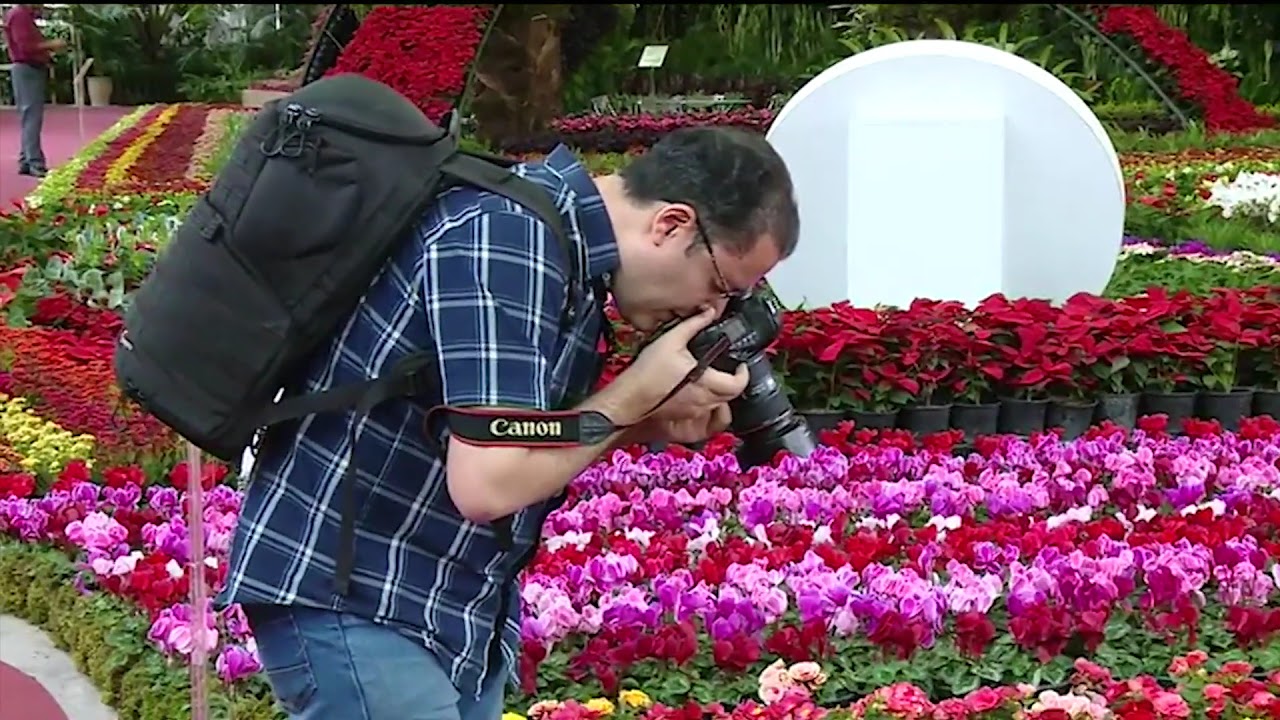 The 17th Tehran International Flora Exhibition 2019