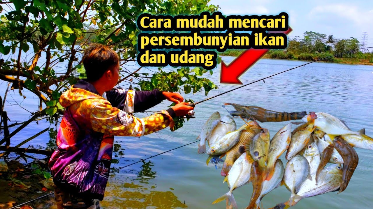 Tips menentukan lokasi mancing di sungai