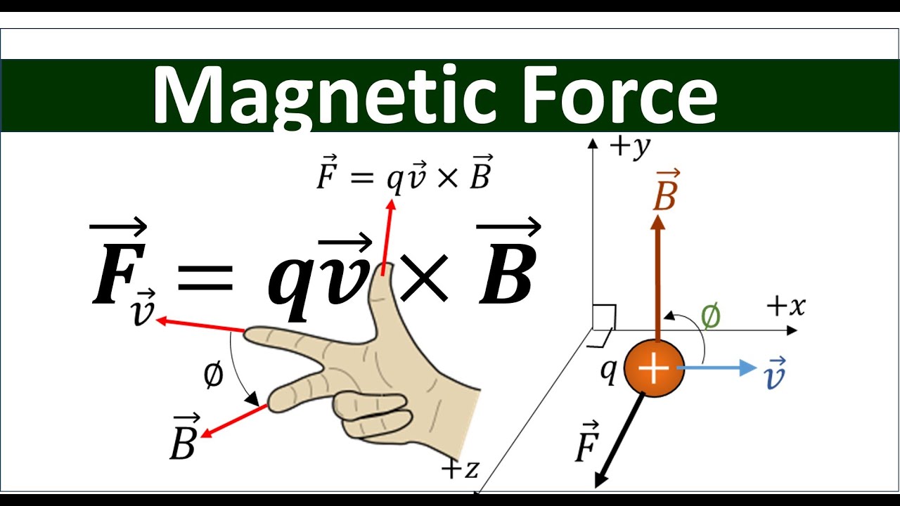 Magnetic Force on a Moving Charged Particle