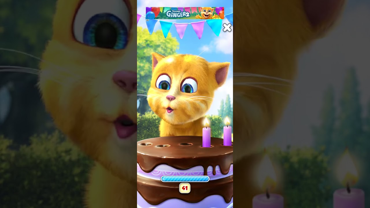 Talking ginger 2 happy birthday🎂🎉🎂🎉 cat 🐱 video