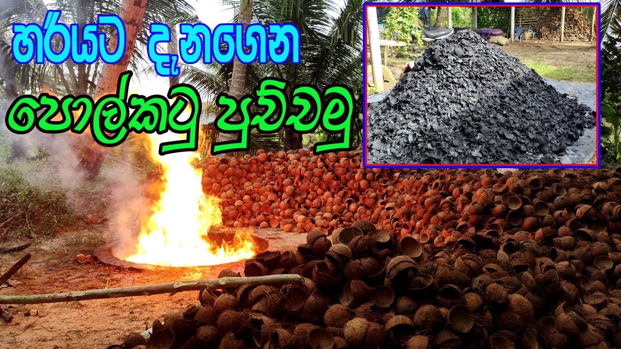 පොල්කටු අගුරු පුච්චන නිවැරදිම පහසුම විදිහ polkatu aguru hadana hati coconut shell charcoal burning