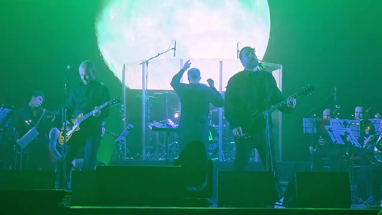 Северный Флот - Проклятый Старый Дом (Live Новосибирск 18.10.2025)