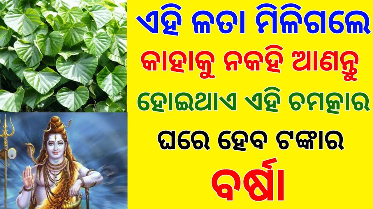 tec bigyan | tec bigyan channel | dhan prapti upay | vastu tips | dhan prapti | bayagita | Sadhubani