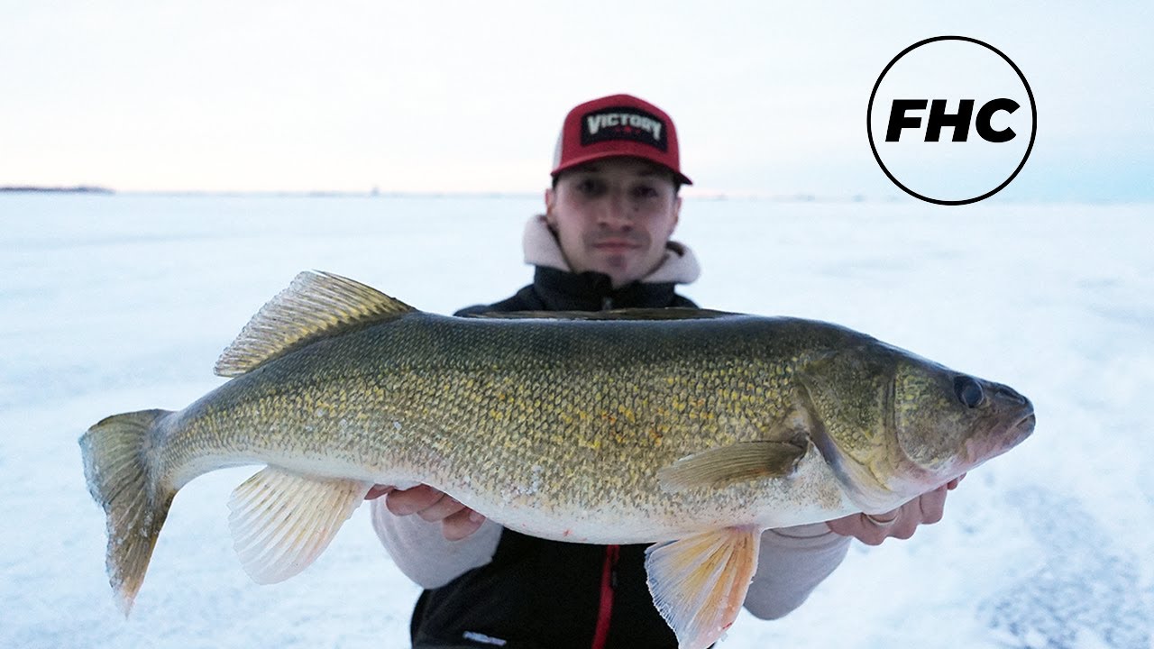 Ice Fishing GIANT Saskatchewan Walleyes (10+lbs)