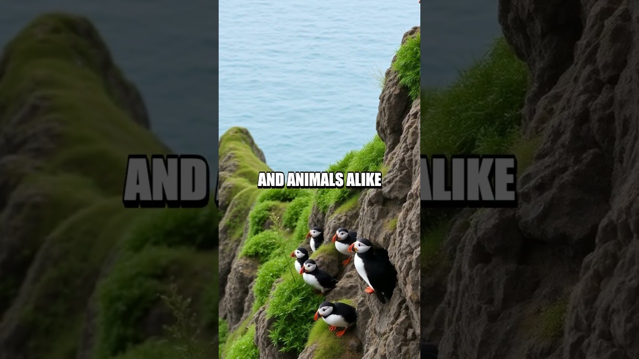 Coastal Survival: Humans and Animals