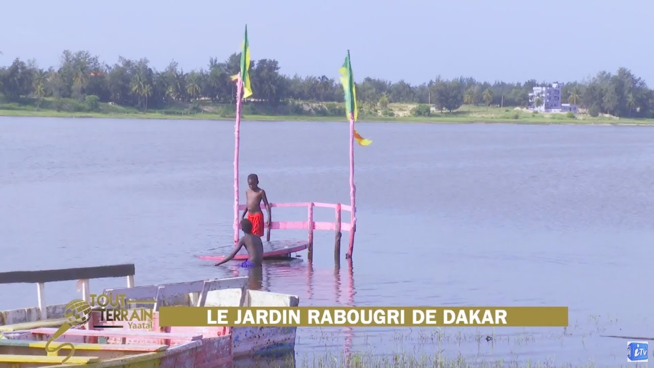 iTV : TOUT TERRAIN - LAC ROSE, LE JARDIN RABOUGRI DE DAKAR