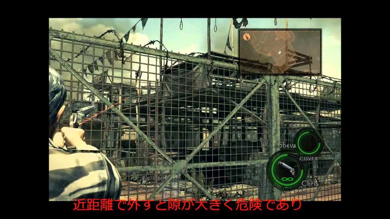 バイオ５　マグナム紹介