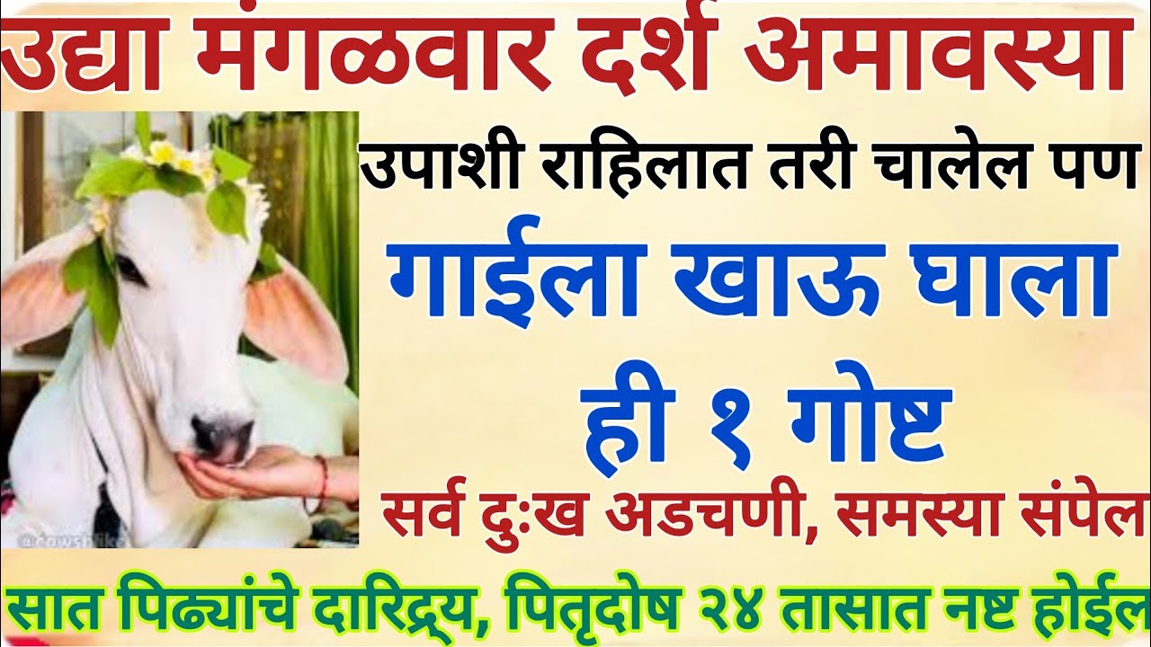 उद्या दर्श अमावस्या गाईला खाऊ घाला ही १ गोष्ट,२४ तासात दारिद्र्य, पितृदोष नष्ट होईल#swami#marathi 