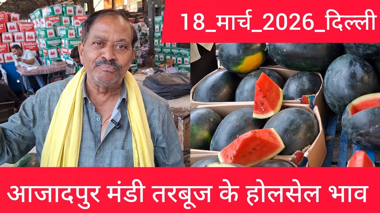 18 March 2026 दिल्ली #तरबूज के भाव Delhi #watermelon market price muskmelon delhi fruit market